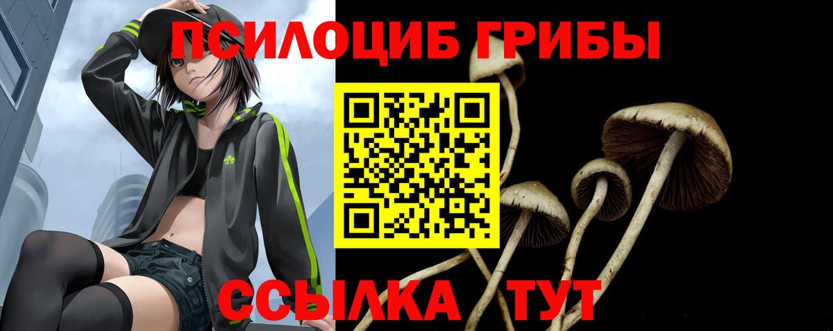 Галлюциногенные грибы прущие грибы Ступино